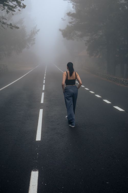 Free A woman walks alone on a misty forest road, surrounded by fog and trees. Stock Photo