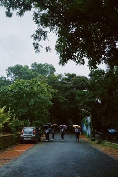 Group walking with umbrellas on a rainy day in a verdant park.