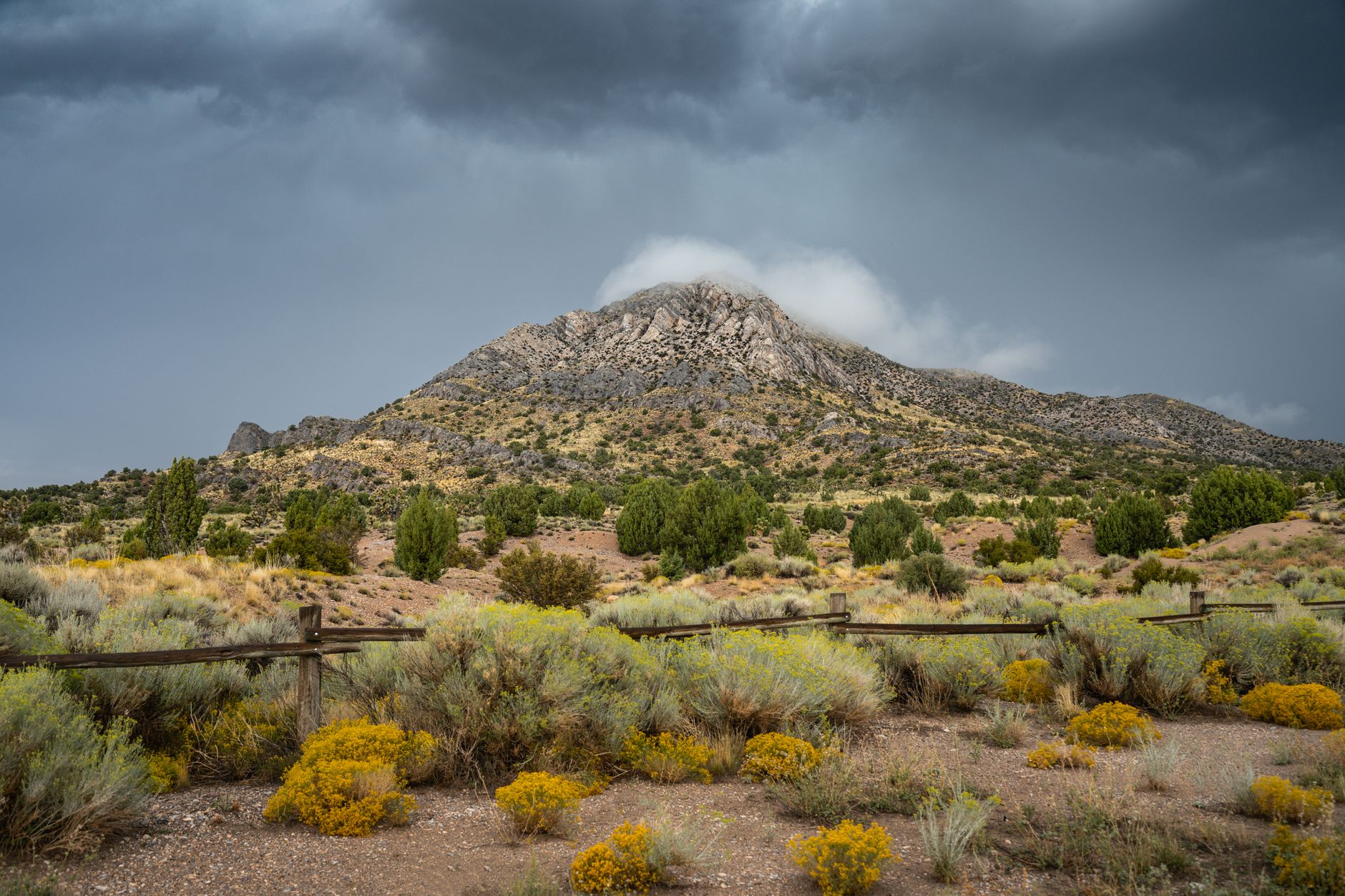 Great Basin Neighbors: Art, Stories & Landscapes photo