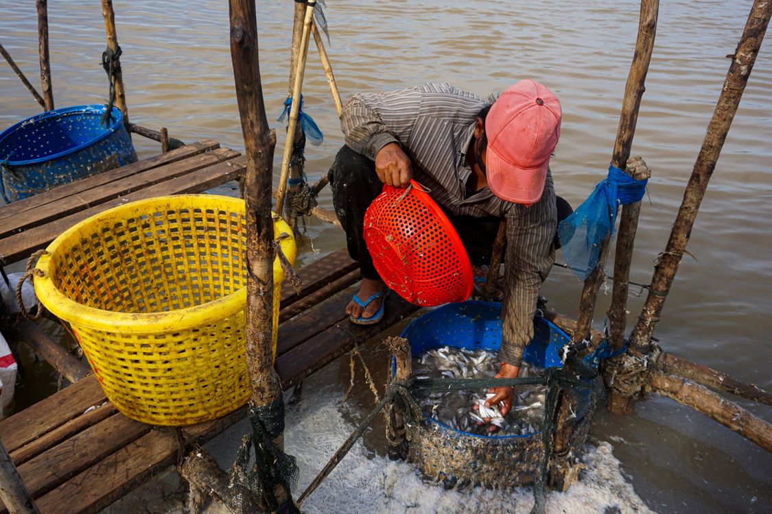 A Fisherman by a Lake  Free Stock Photo