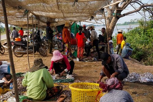 Free Local vendors at a rural market in Kandal Province, Cambodia, showcasing traditional commerce. Stock Photo