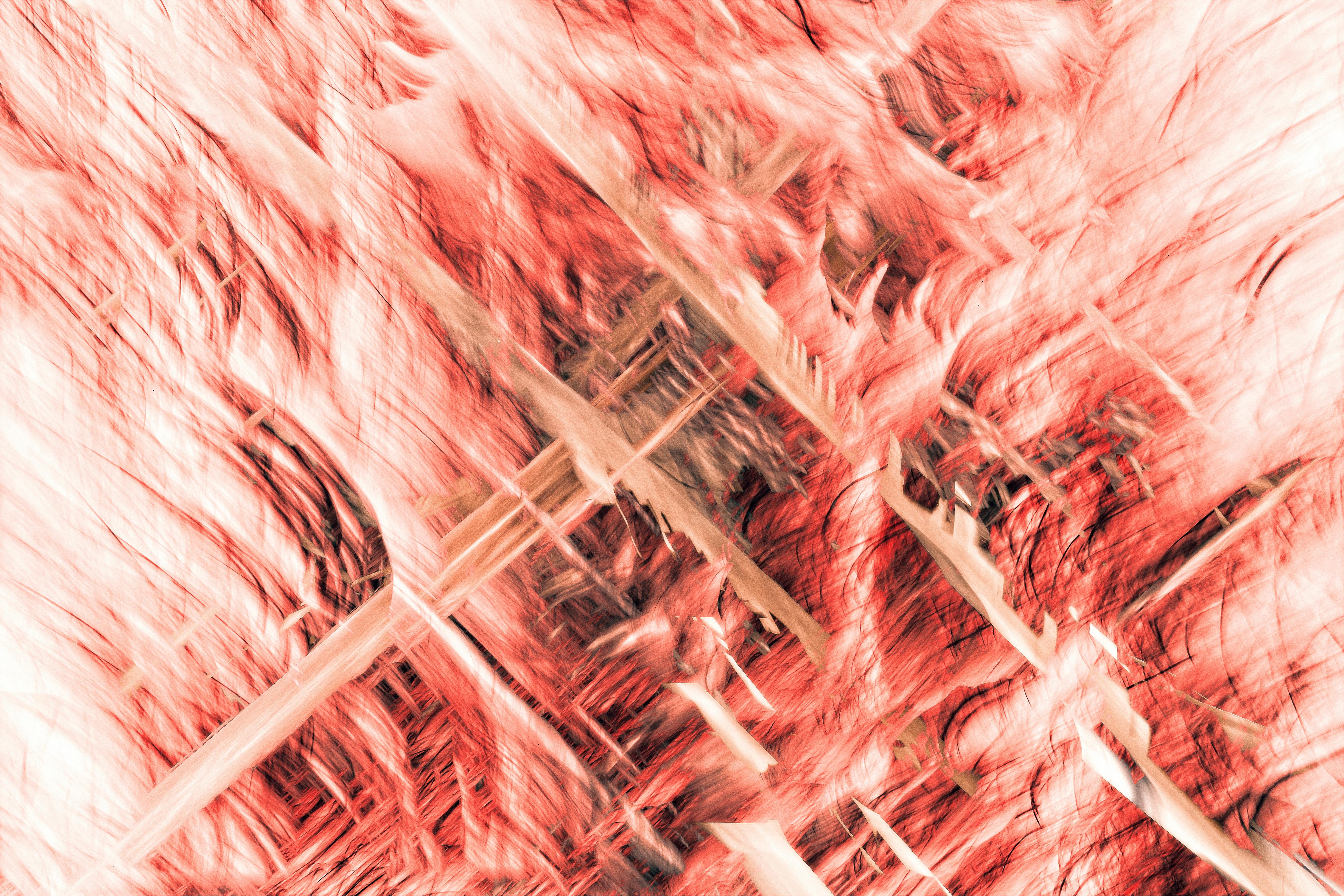 Gratuit Imagine de stoc gratuită din abstract, artă, arta creativă Fotografie de stoc