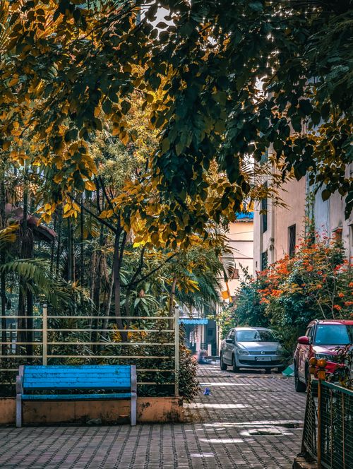 Free A serene urban street scene with parked cars, a blue bench, and lush greenery. Stock Photo
