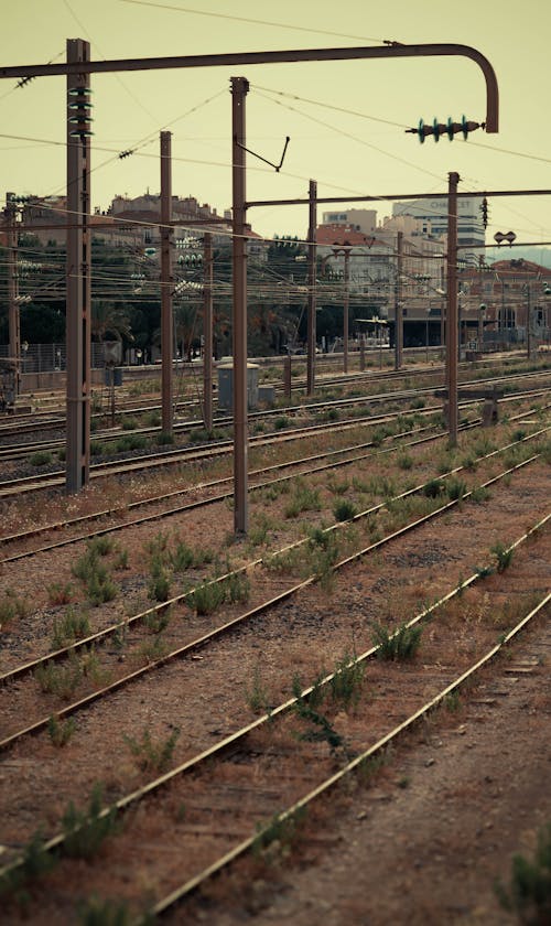 Kostnadsfri bild av järnvägar, reslust, station