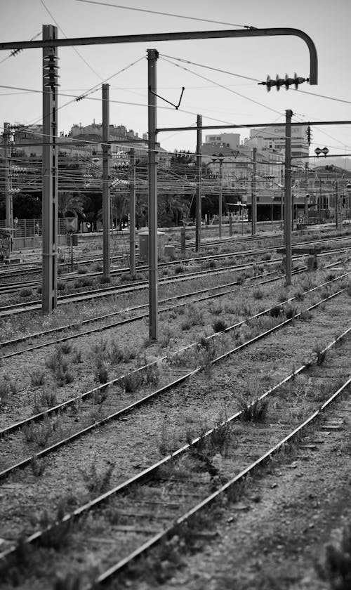 Kostnadsfri bild av järnvägar, reslust, station