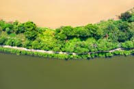 Top View Photo of Green Trees Near Body of Water