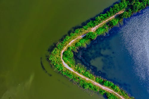 Aerial Photography of Body of Water Near Trees