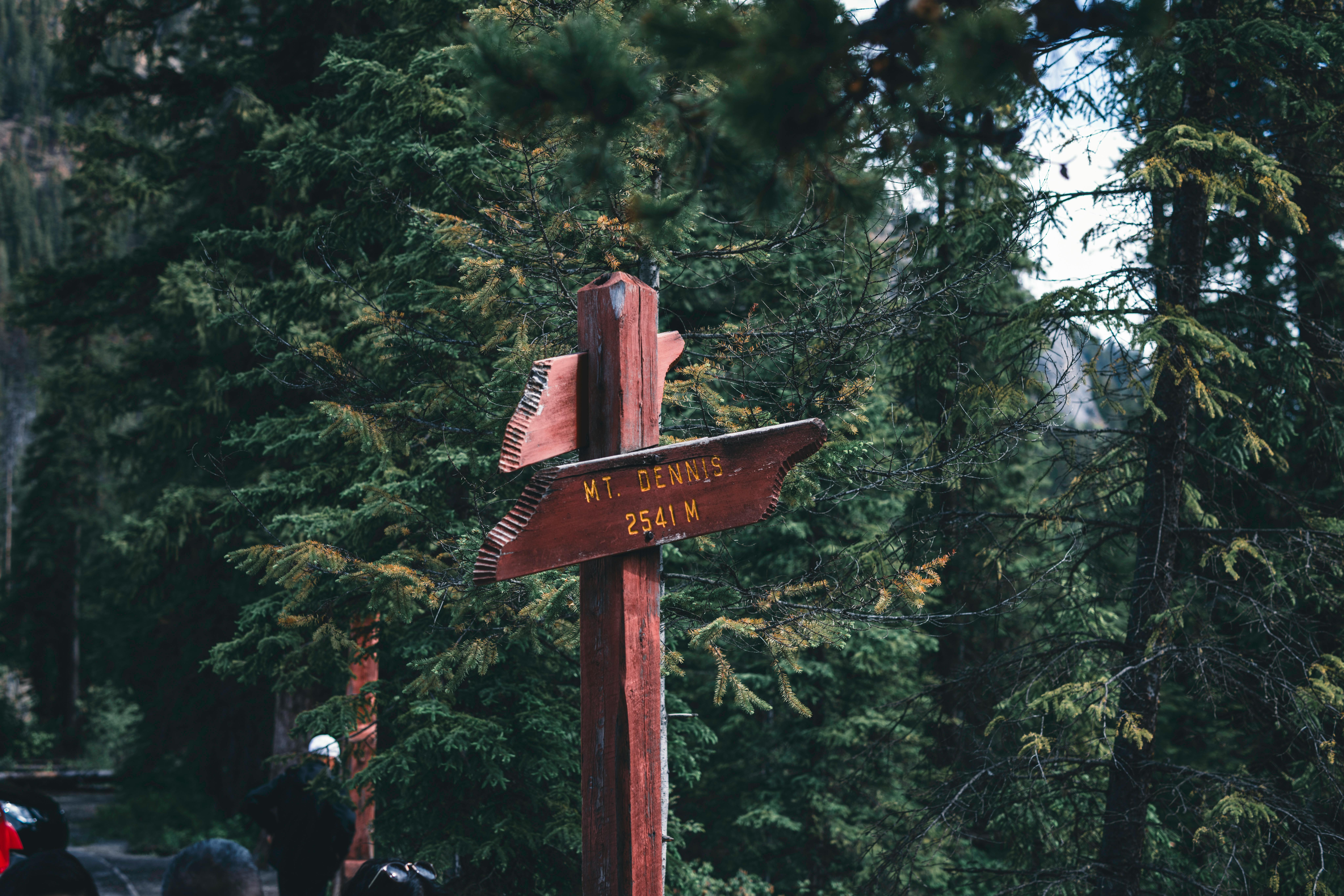 A directional signpost pointing to Mt. Dennis in a lush forest in Field, BC, Canada.