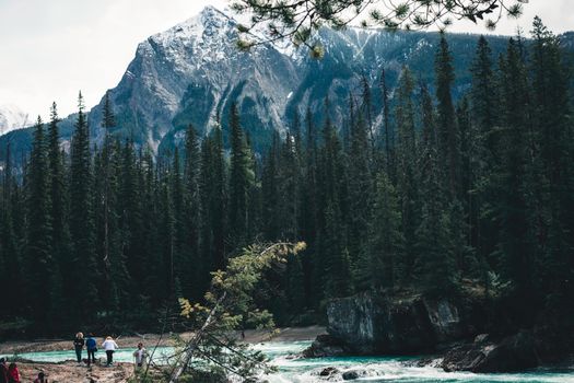 Explore the breathtaking landscape with majestic mountains and lush forests in Field, BC, Canada.
