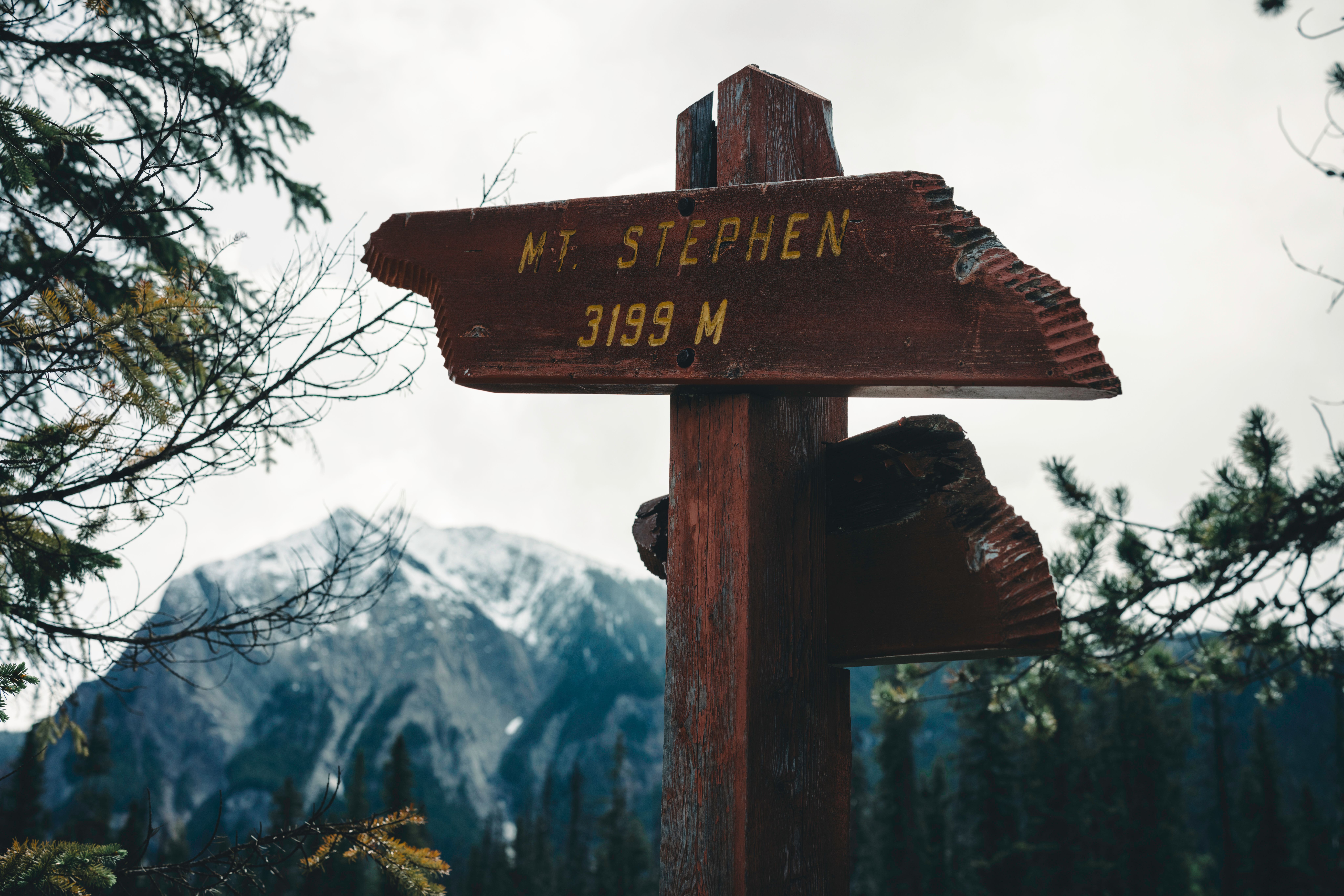 Wooden signpost of Mt. Stephen with mountain backdrop in Field, BC, Canada.