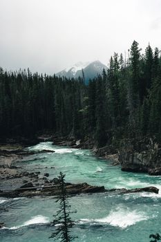 Serene mountain river surrounded by lush forest and snowy peaks in Field, BC, Canada.