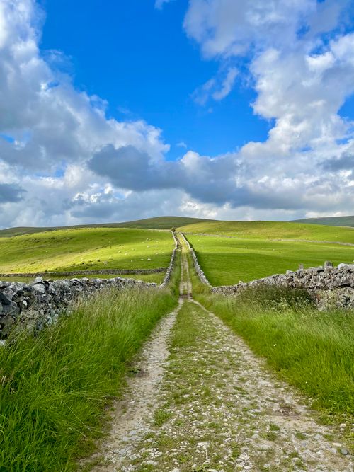 Free A peaceful rural path cutting through vibrant green fields under a dramatic cloudy sky. Stock Photo