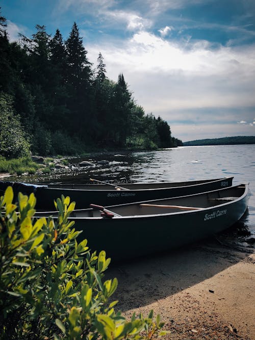 Free stock photo of camp, camping, canoe