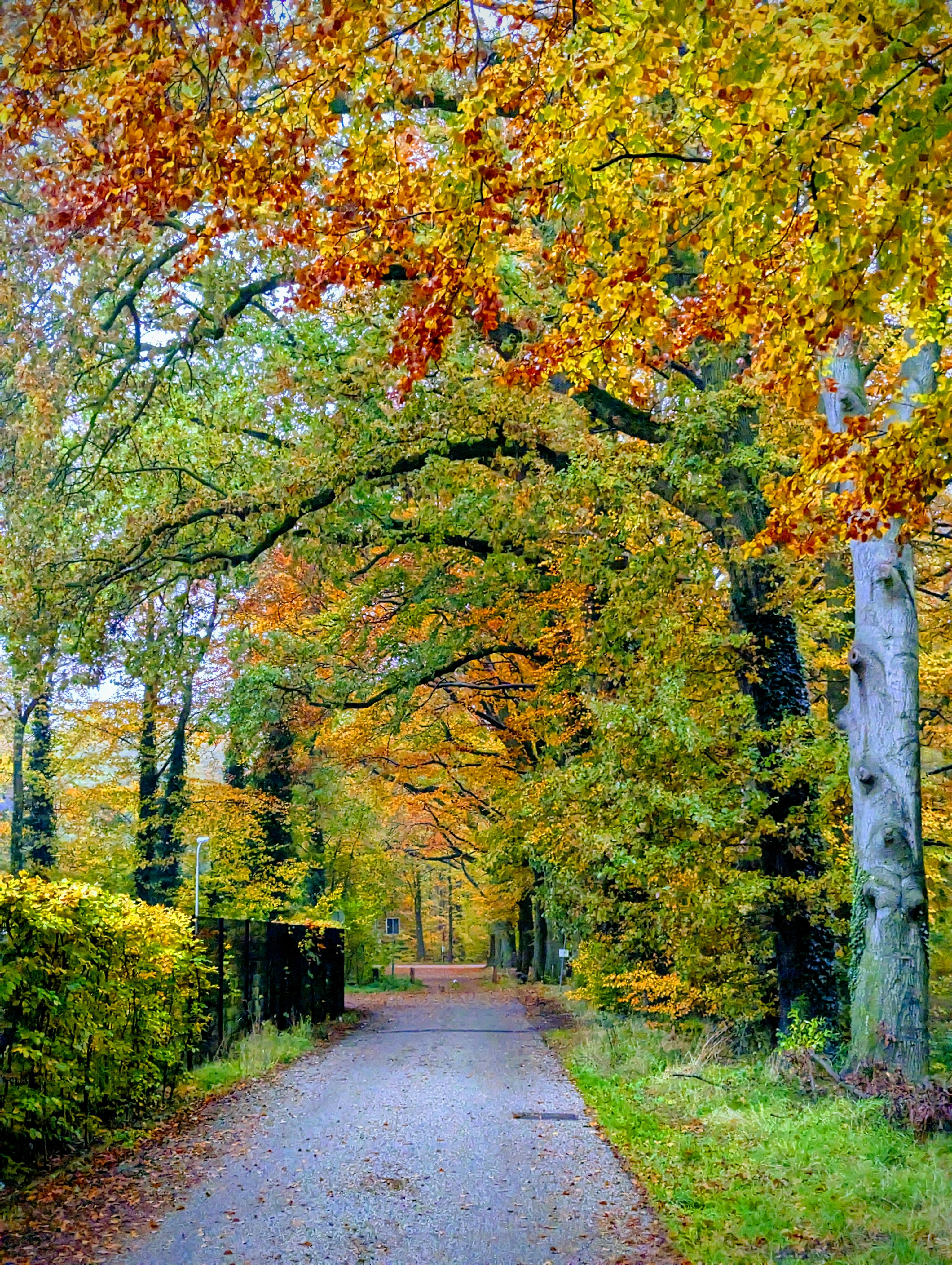 Arnhem travel photo 5