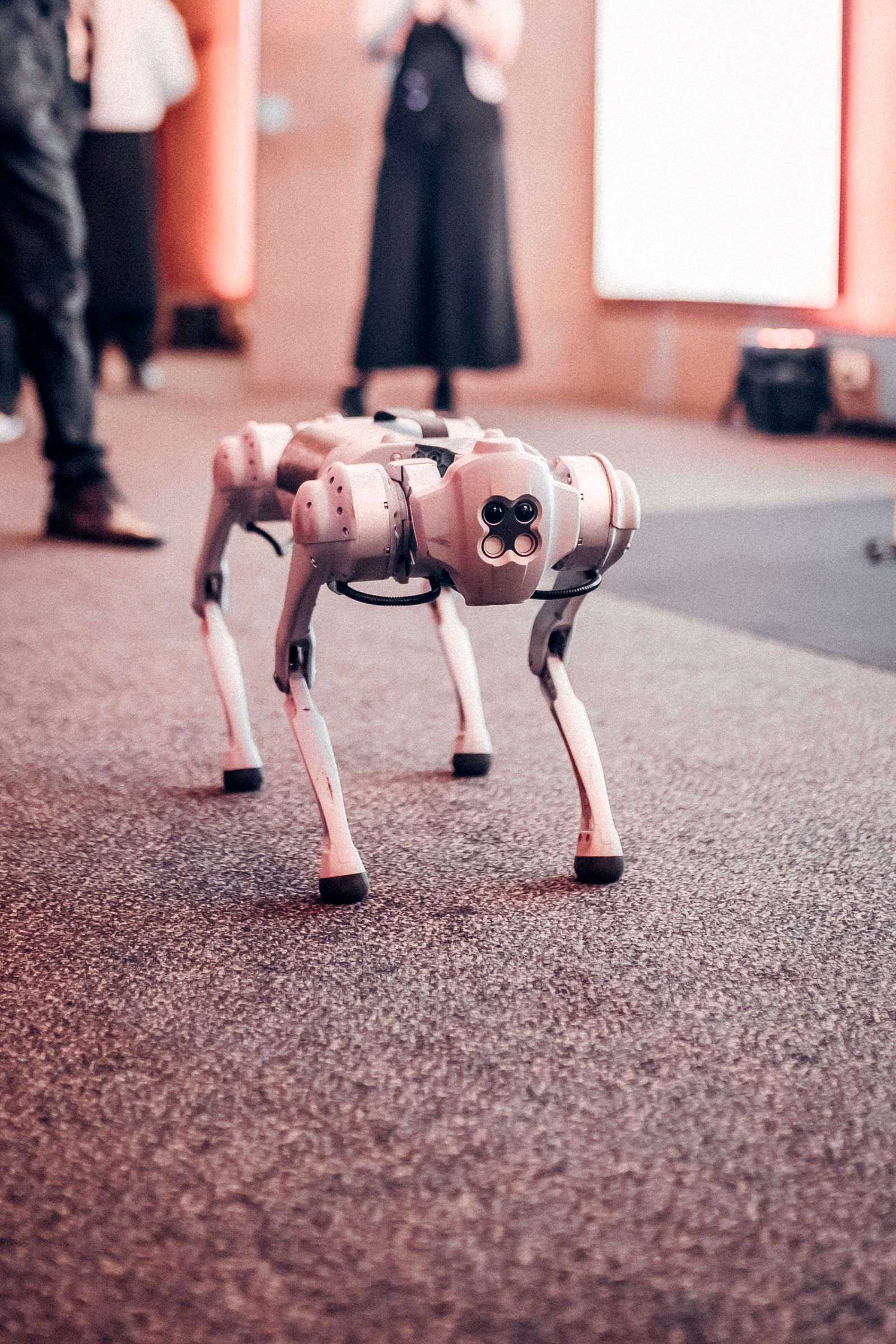 White quadruped robot dog at a tech event