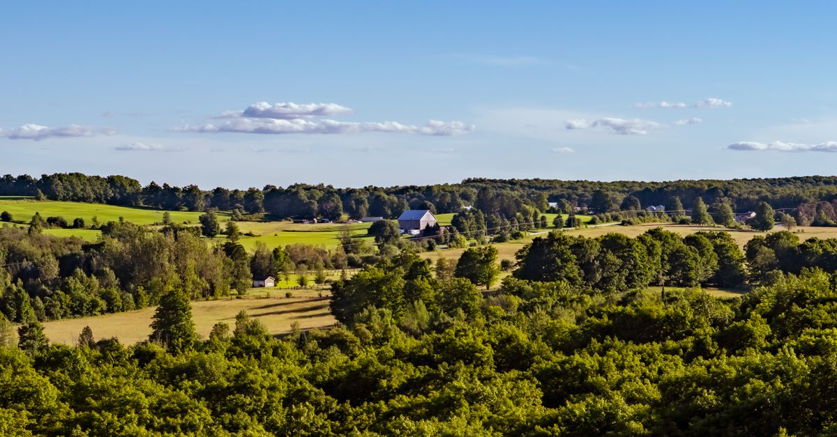 Scenic view of lush countryside with rolling hills, trees, and a distant farmhouse under a clear blue sky.