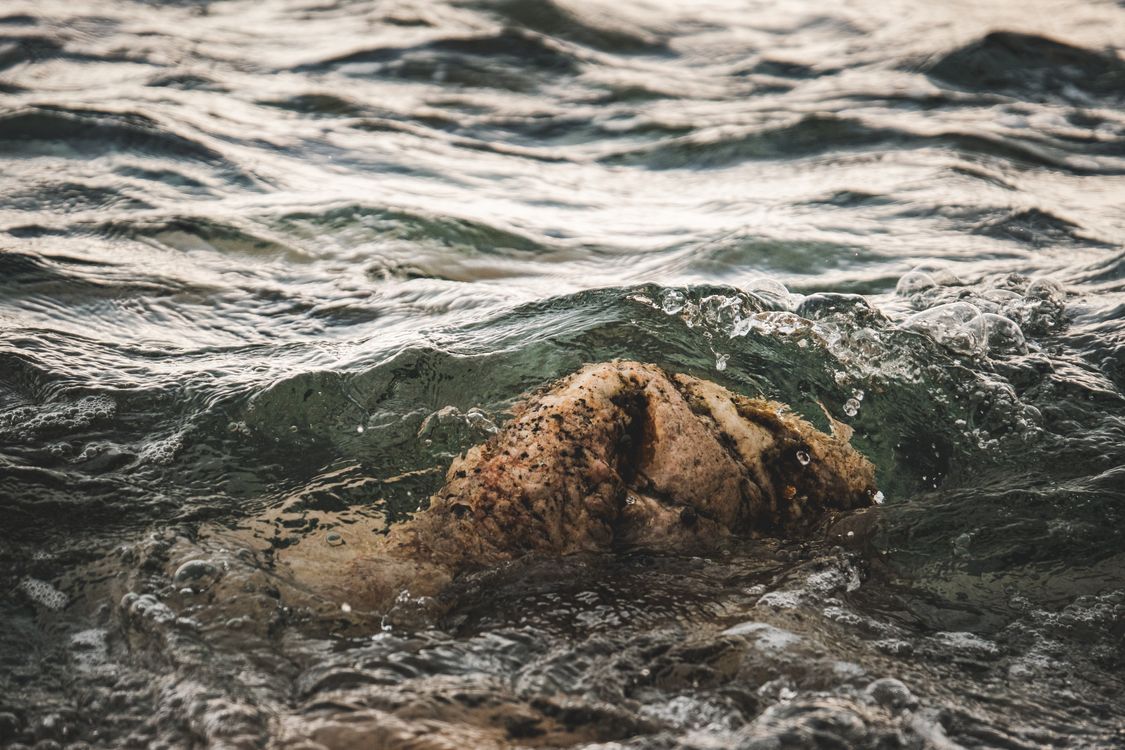 Light Bouncing Off Rocks Water Bouncing off a Stone · Free Stock Photo