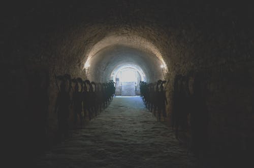 Free stock photo of dark, dungeon, fortress