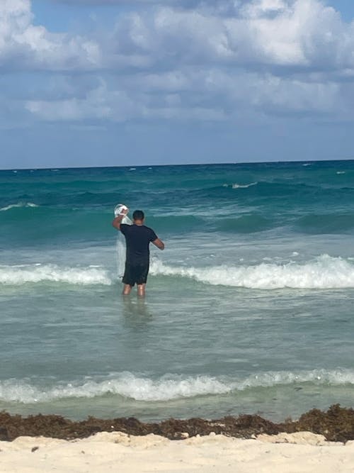 Foto stok gratis alam, pantai, playa del carmen