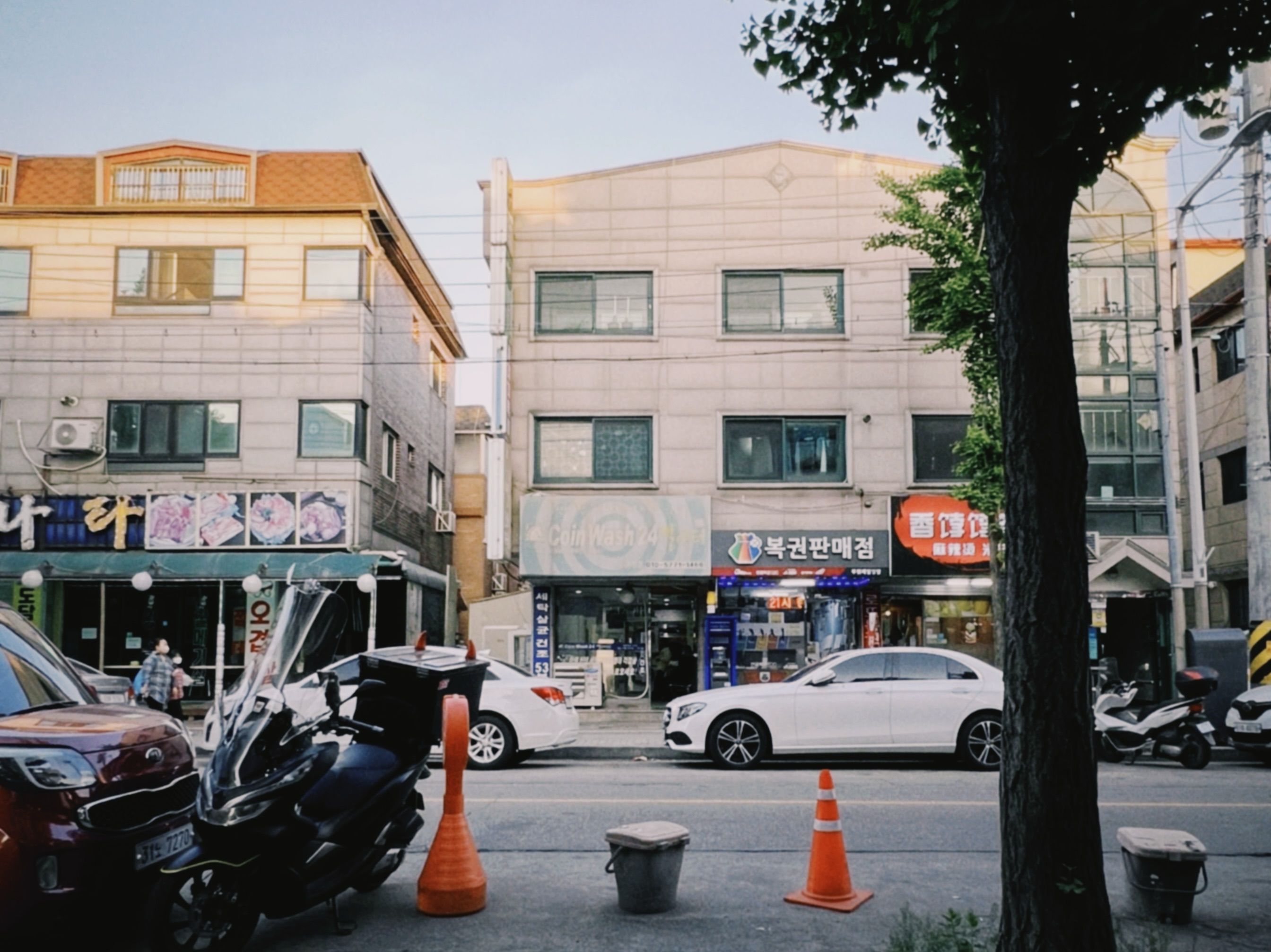 그래서 제 픽은 이겁니다