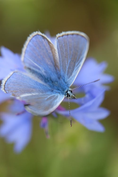 Gratis stockfoto met aan boord, antenne, aviate