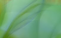 Green, Blurred Shape