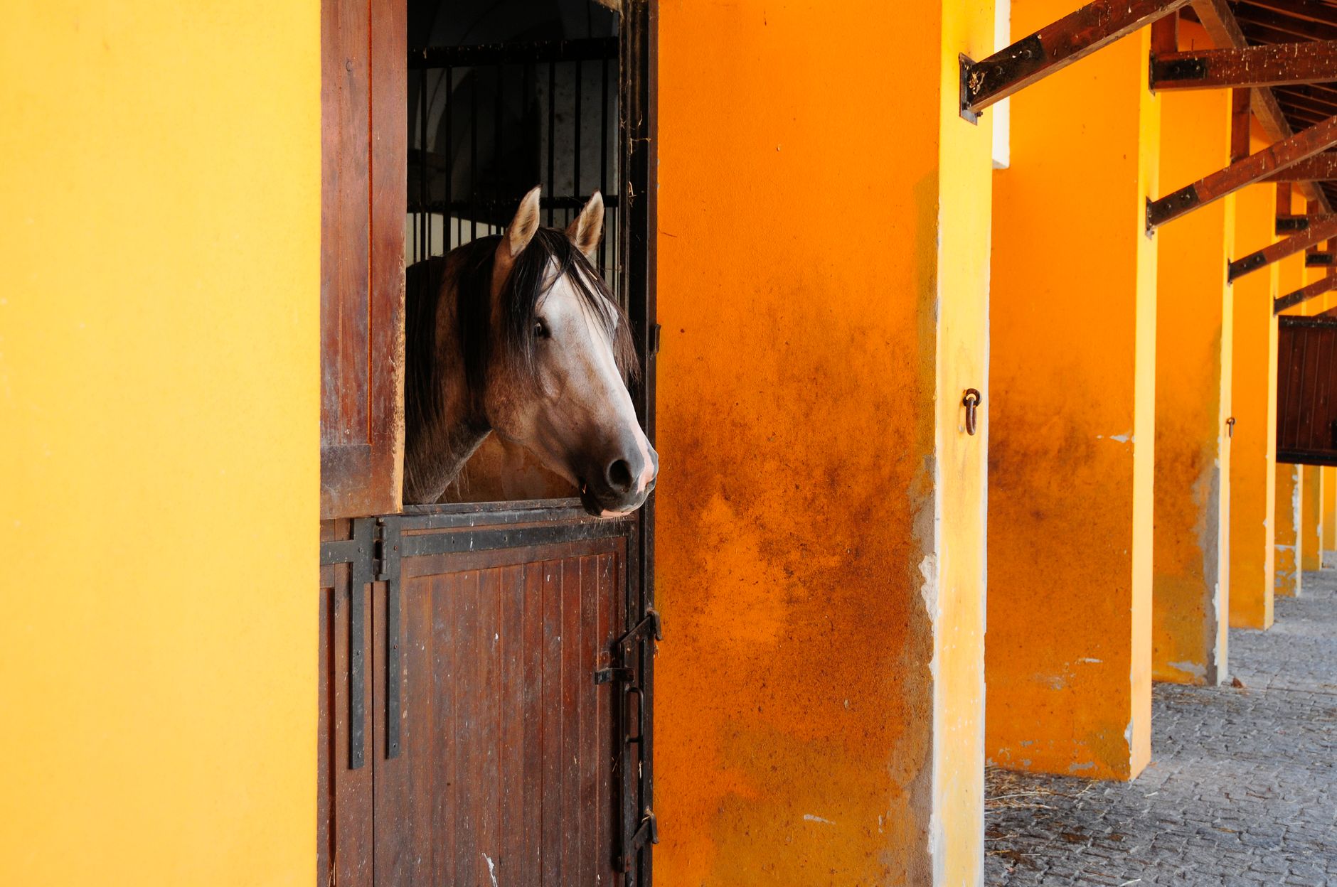 A colorful horse stable with breeding charts and upgrade menus on screen