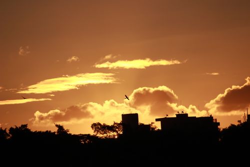 Free sunset Stock Photo