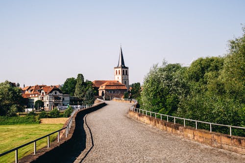 Darmowe zdjęcie z galerii z brązowe pole, drzewa lasy, jasny