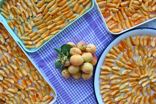 Apricot, Canned