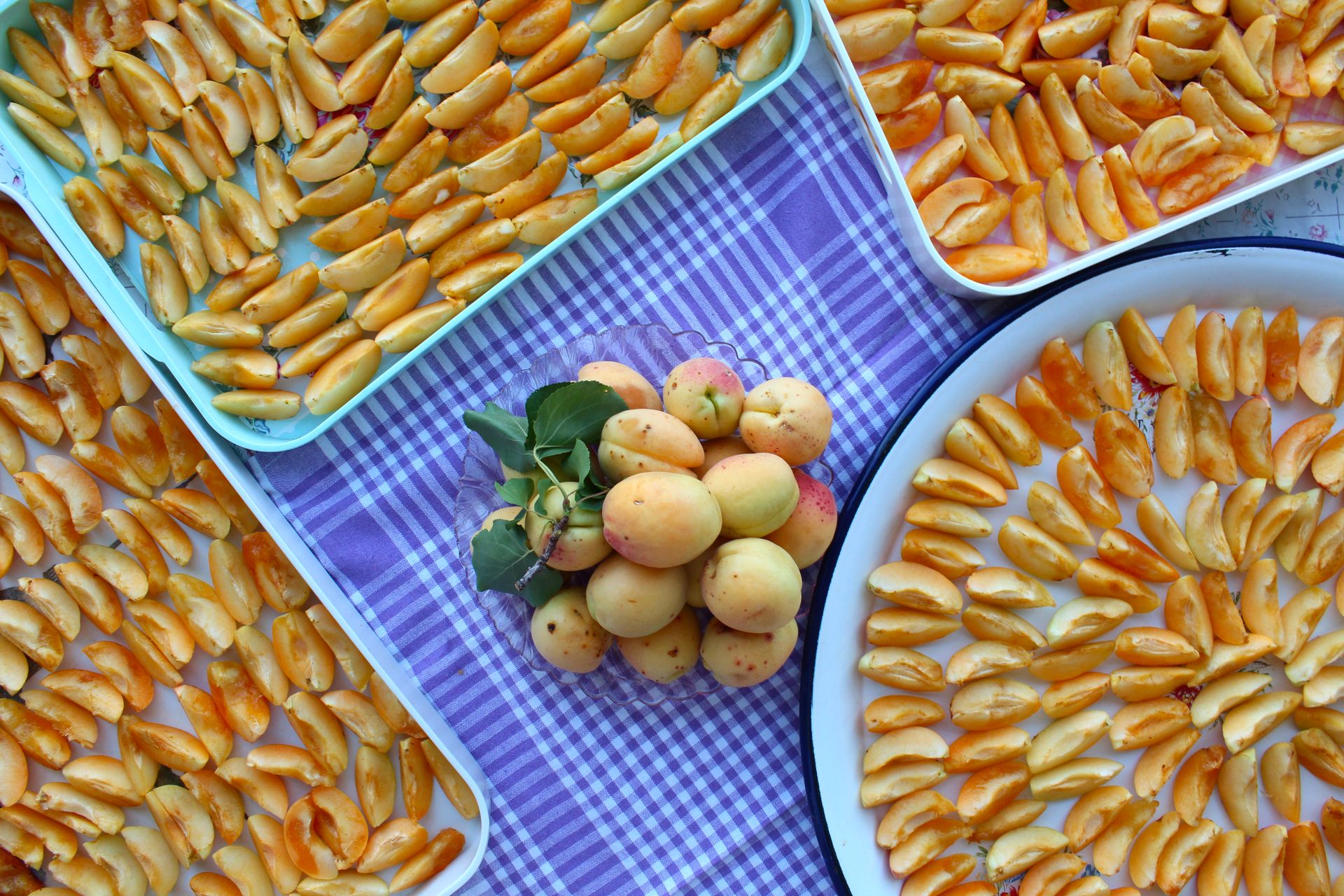 Apricot Fruits and Pieces on a Blue Tablecloth