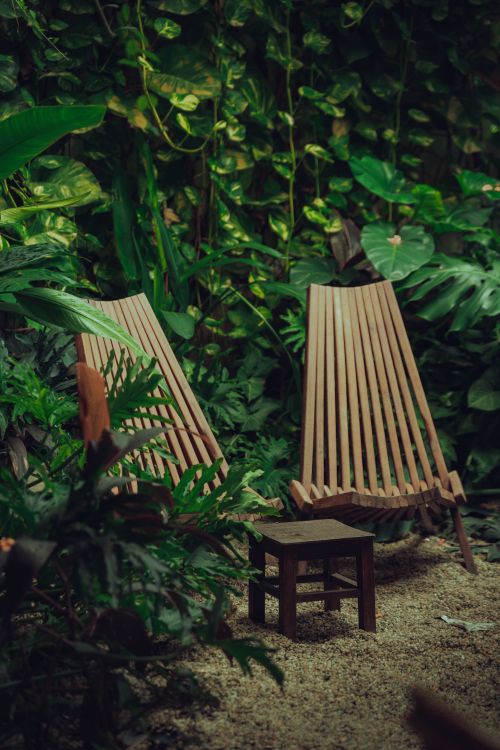 Free Tranquil garden scene featuring wooden chairs amid lush greenery. Stock Photo