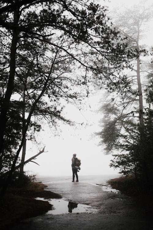 Free Person Standing on Pathway Stock Photo