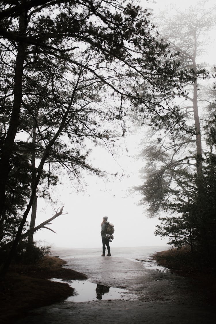 Person Standing On Pathway