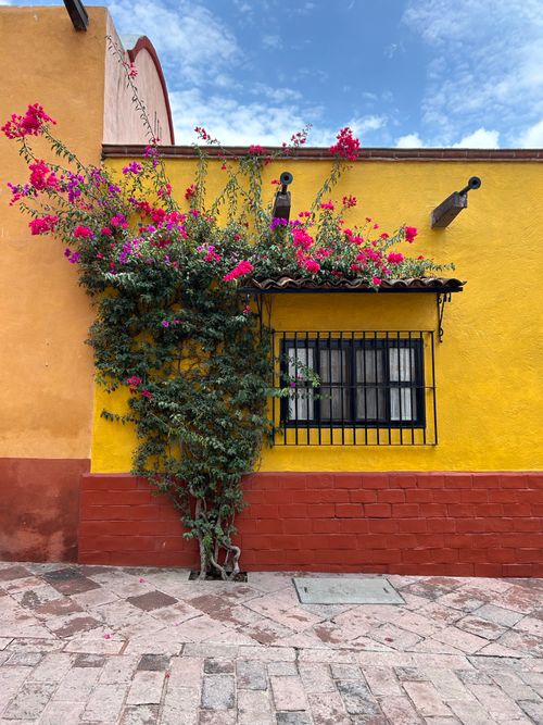 Free Colorful facade with blooming flowers on a yellow house in Tequisquiapan, Mexico. Stock Photo