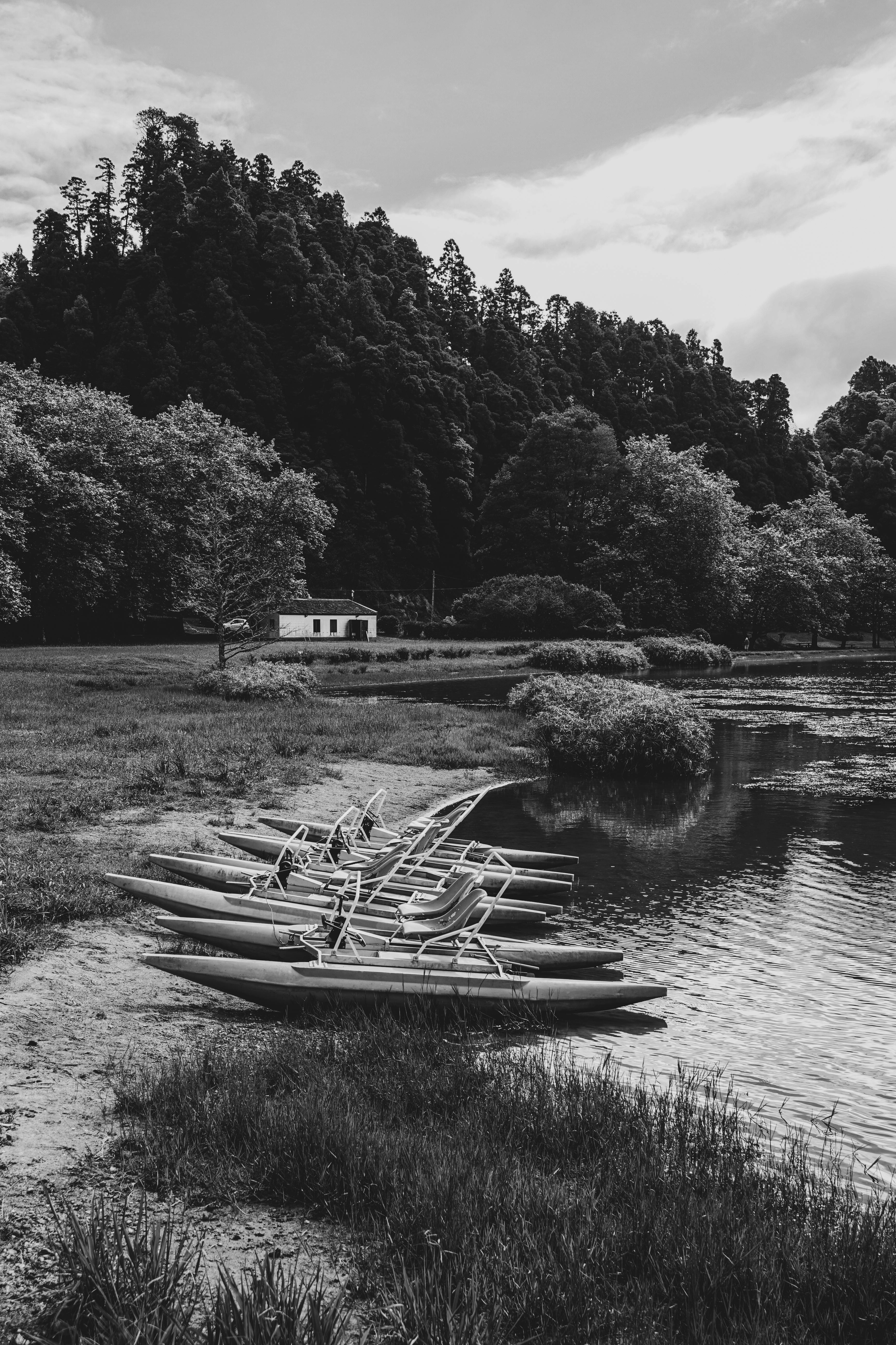 Tranquil lakeshore scene with moored boats, lush trees, and a building.