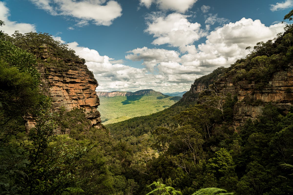 Scenic view of the Blue Mountains with lush greenery and dramatic sandstone cliffs in NSW