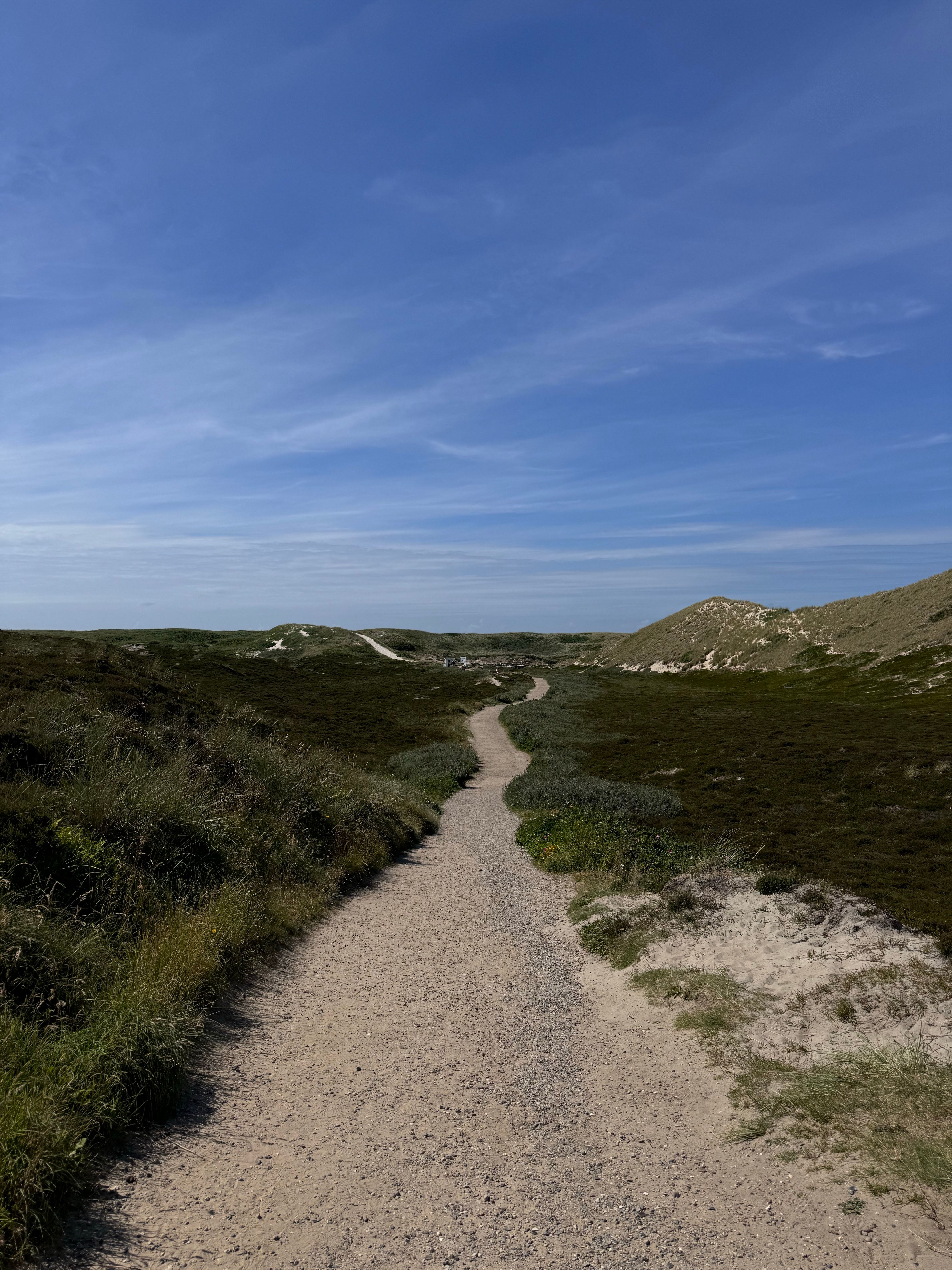 View of an Empty Hiking Trail · Free Stock Photo