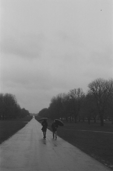 Moody black and white photo of two people with umbrellas on a rainy day on The Long Walk, Windsor, England.