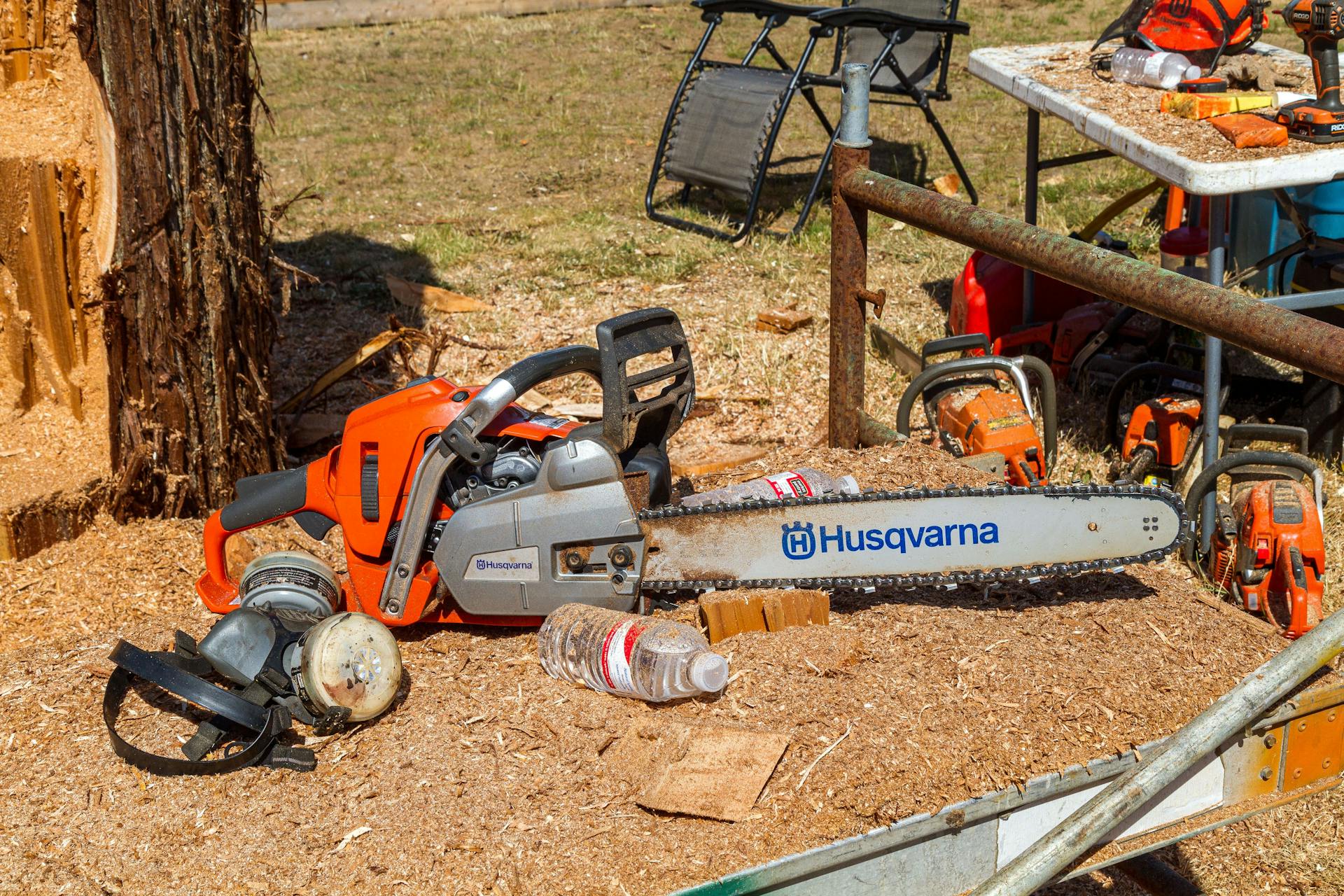 Chainsaw and Ear Protectors next to Tree