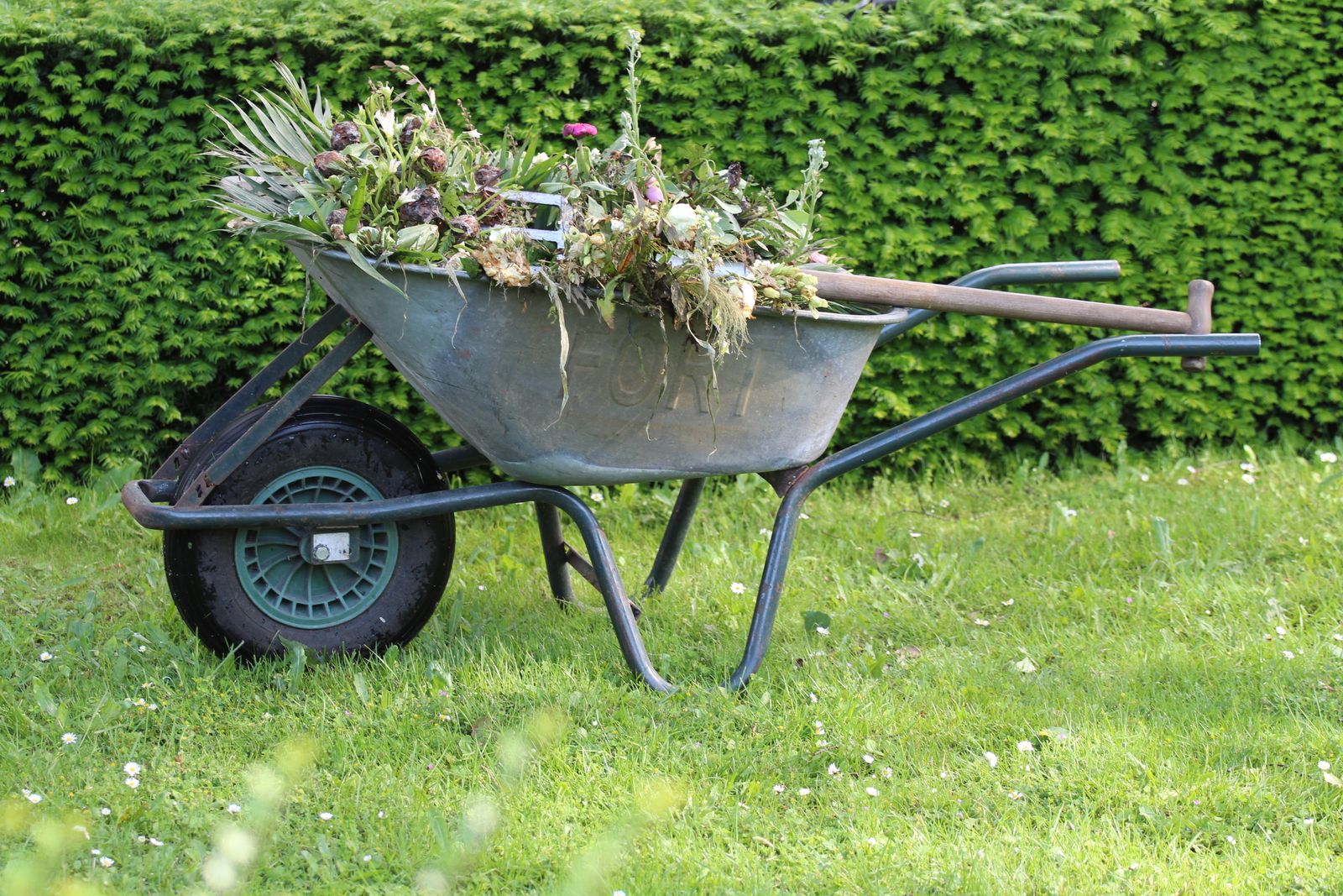 Gepflegter Garten mit Schubkarre – Gartenservice Grün & Rein in Graz
