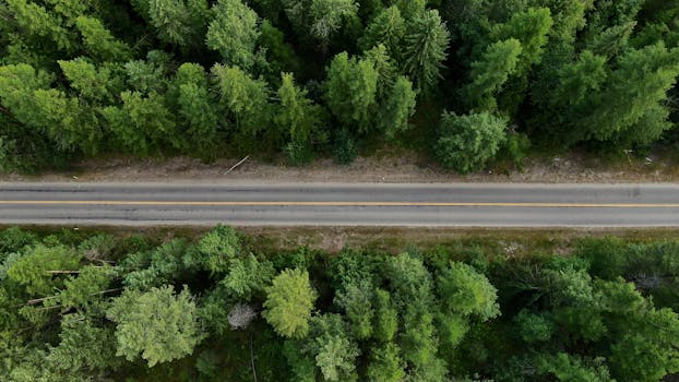 Drone shot of a road cutting through lush green forest in Priest River, Idaho.