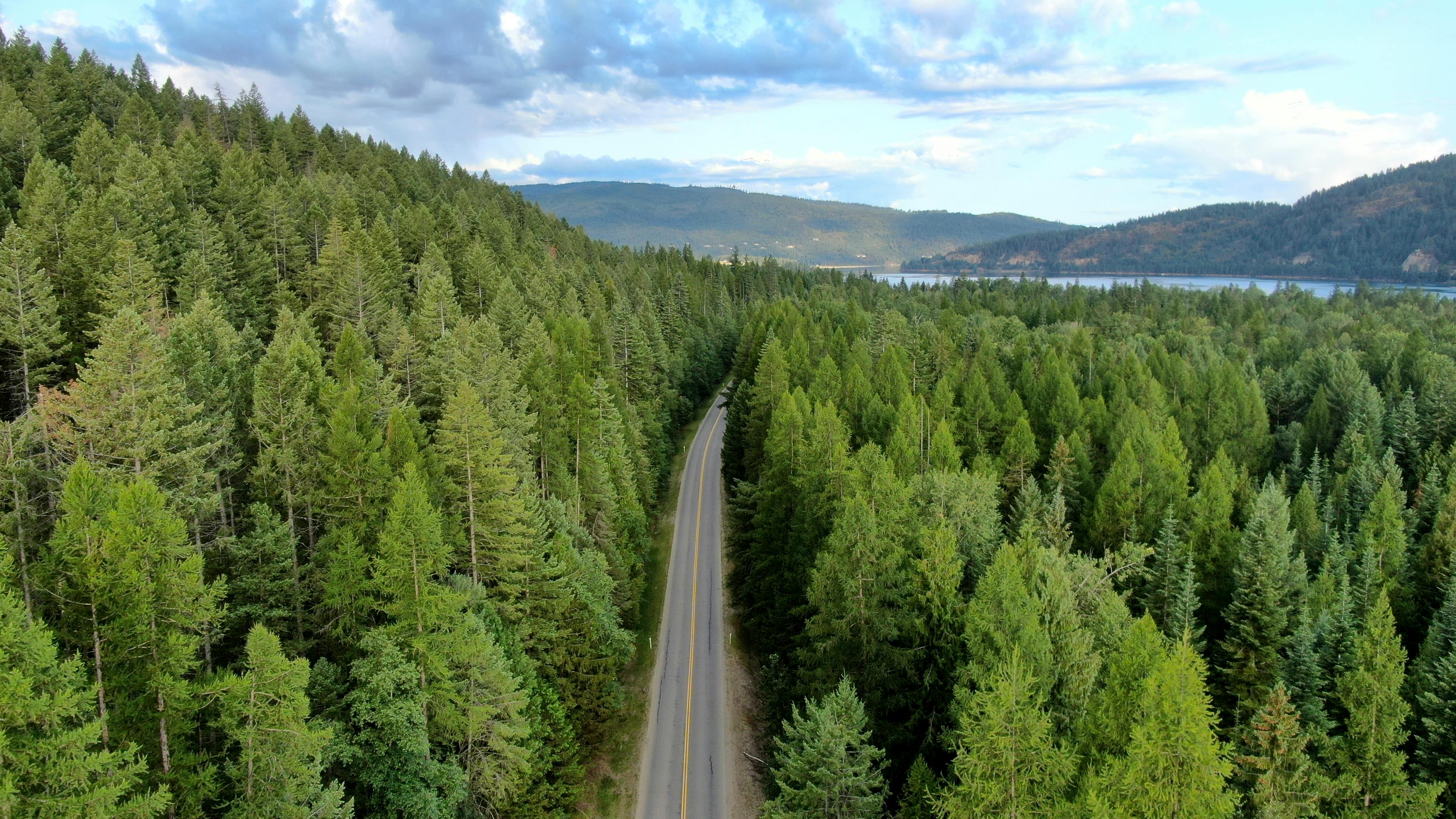 bird s eye view of road during daytime