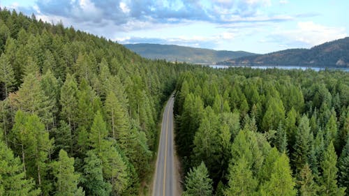 Bird's Eye View Of Road During Daytime