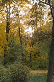 Image by Janinki Design