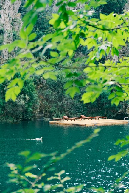 Tranquil lake scene with a wooden platform and swimming duck surrounded by lush greenery.