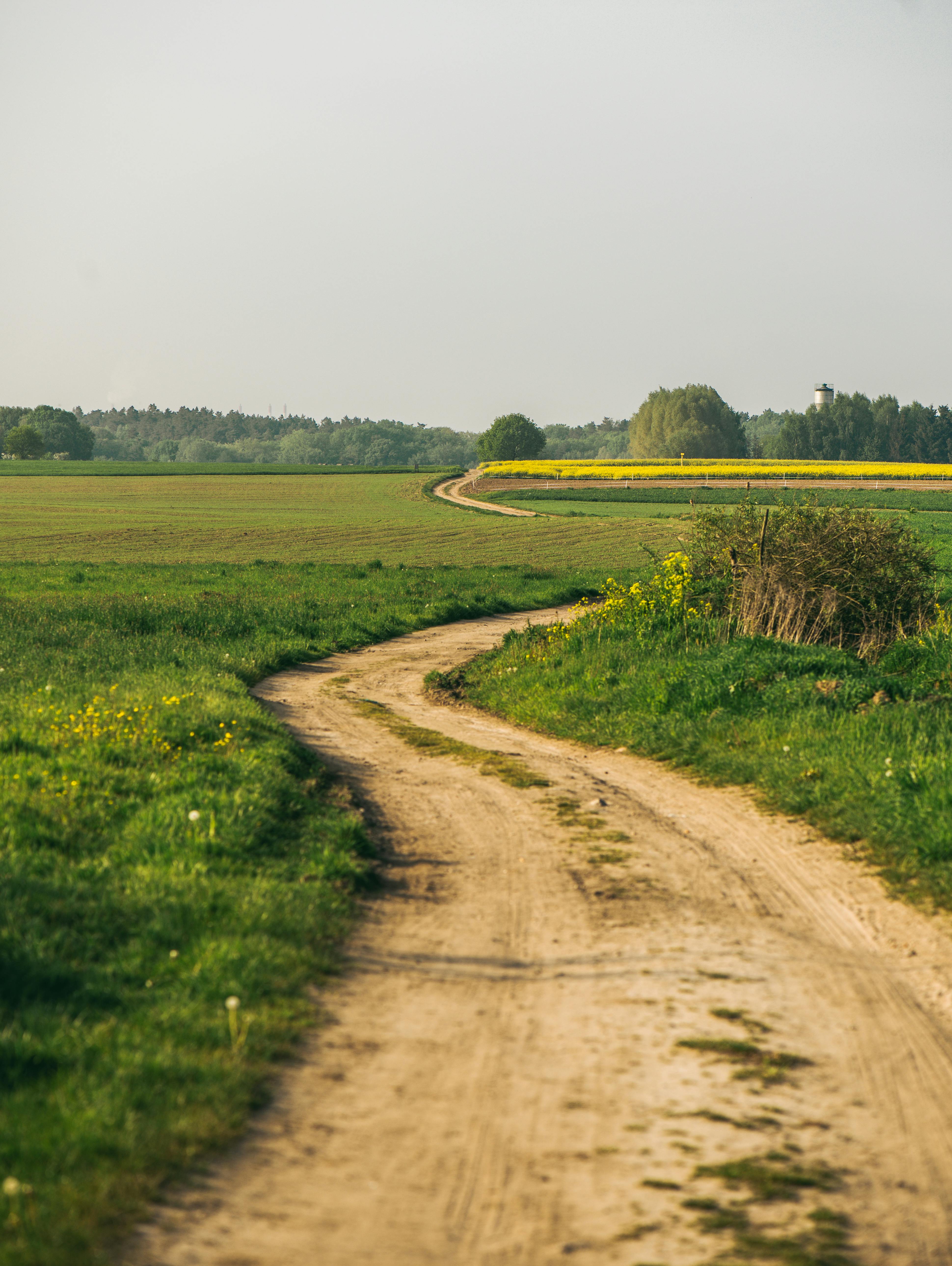 Dirt Road in the Middle of Grass Field · Free Stock Photo