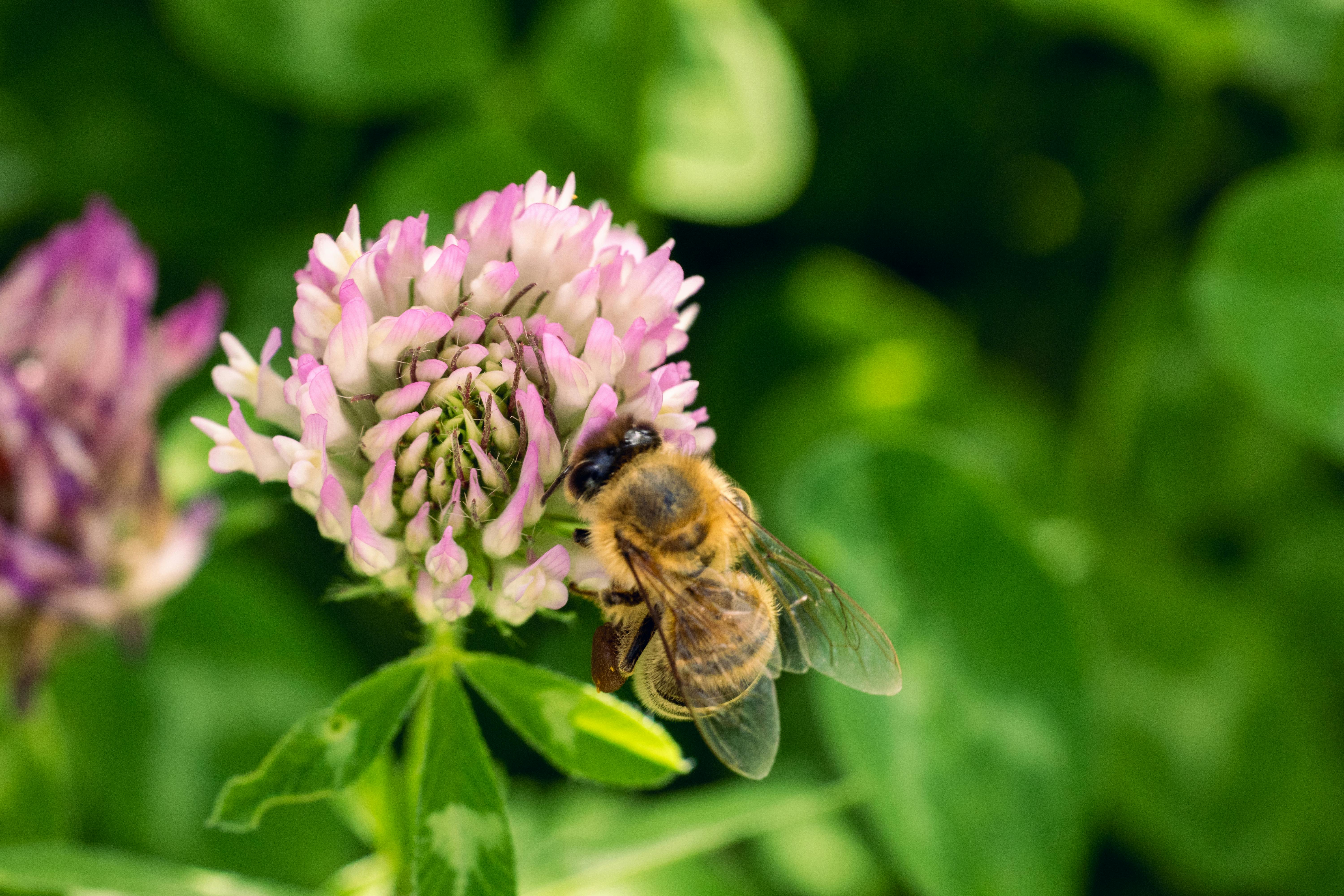 Ark Valley Civics Bee Competition to Send Three Local Students to State — Photo by Patrick on Pexels