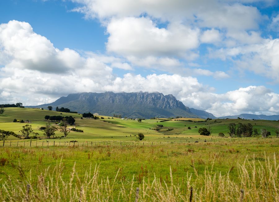A picturesque meadow under a bright sky with Tasmania's lush landscape and distant mountains.