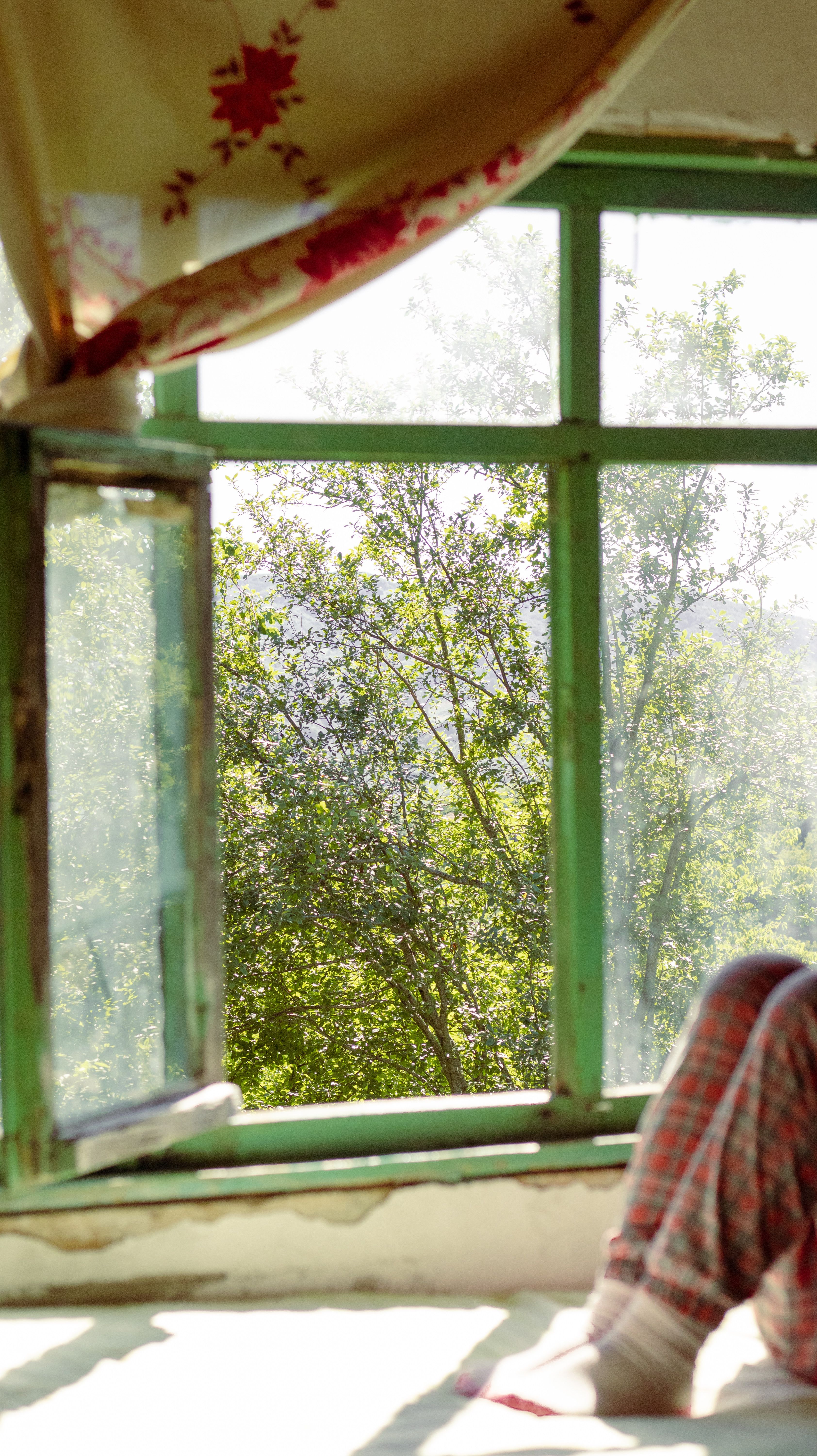 A Person Sitting by an Open Window · Free Stock Photo